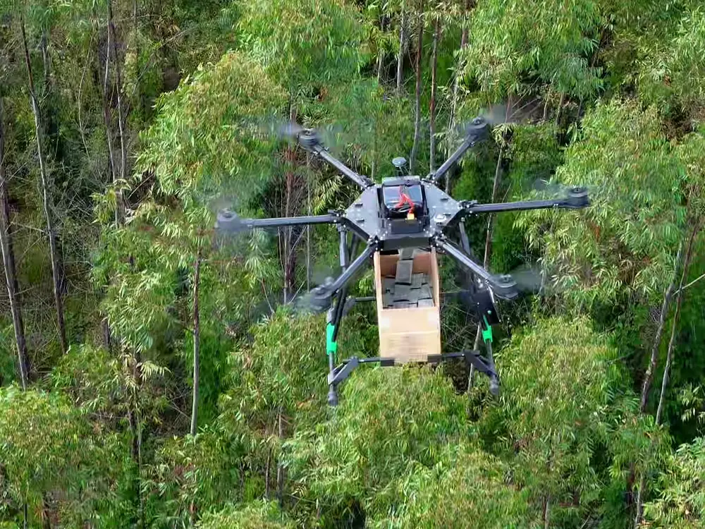 FOREST em voo sobre eucalipto, visto de cima, com a caixa de isca carregada